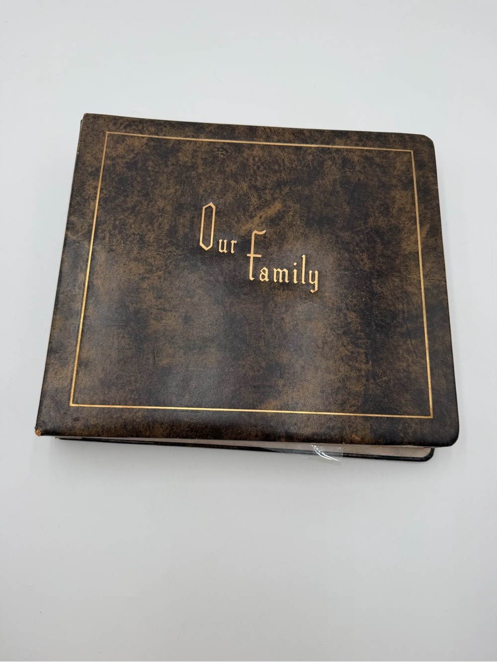 Vintage Our Family Photo Album Generational Keepsake Family Tree Gold Corners